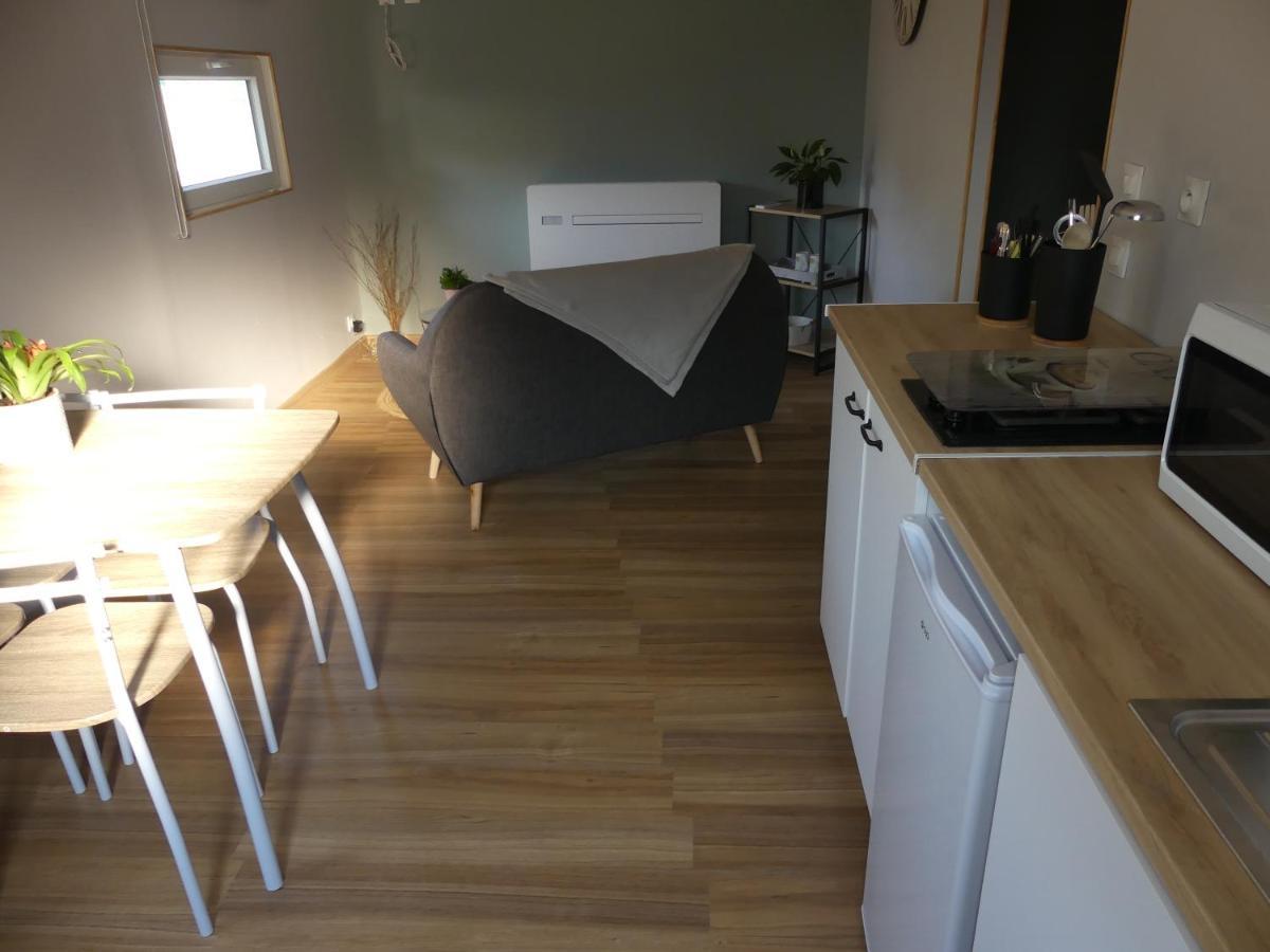 Апартаменты Charmant Studio 35M² Au Calme Proche Du Circuit Saint-Gervais en-Belin Экстерьер фото